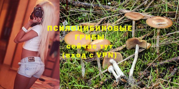 мдпв Нефтегорск