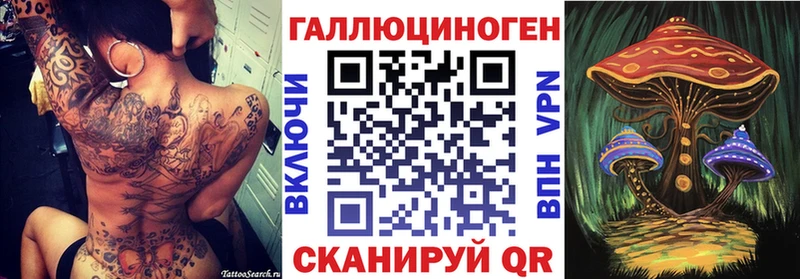 Галлюциногенные грибы Psilocybine cubensis Тамбов