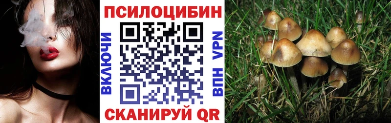 Псилоцибиновые грибы Psilocybe  как найти закладки  Тамбов 