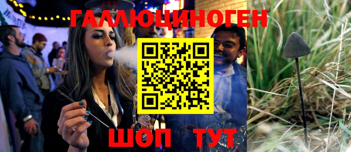 Галлюциногенные грибы Psilocybine cubensis  Псилоцибиновые грибы Cubensis  сколько стоит  Тамбов  Вход с VPN 