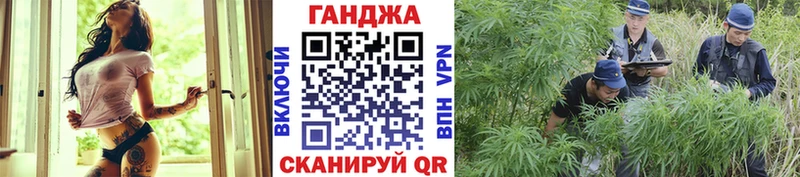 Каннабис тримм  darknet телеграм  Тамбов  блэк спрут маркетплейс 